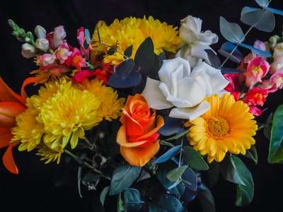 時代は移り変わっても私たち仲人は不滅です　　　　　　小田急沿線の結婚相談室　ティーワイマリッジ