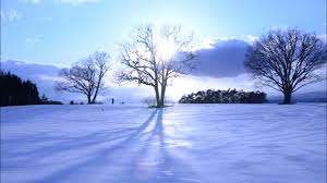 あるCAさんのお話