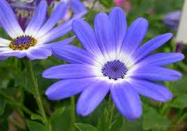 婚活には気持ちいい季節となりました