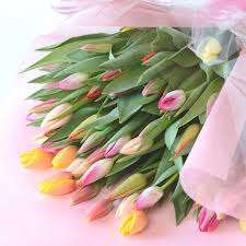 仲人ママの独り言（ブログ）　追加させていただきました