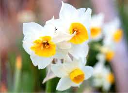 仲人ママの独り言（ブログ）　追加させていただきました