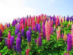 仲人ママの独り言（ブログ）　追加させていただきました