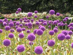 仲人ママの独り言（ブログ）　追加させていただきました