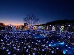 仲人ママの独り言（ブログ）　追加させていただきました