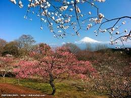仲人ママの独り言（ブログ）　追加させていただきました