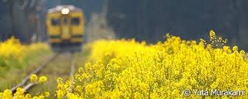 仲人ママの独り言（ブログ）　追加させていただきました