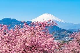 仲人ママの独り言（ブログ）　追加させていただきました