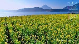 仲人ママの独り言（ブログ）　追加させていただきました