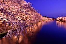 仲人ママの独り言（ブログ）　追加させていただきました