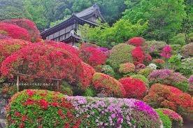 仲人ママの独り言（ブログ）　追加させていただきました