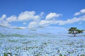 仲人ママの独り言（ブログ）　追加させていただきました