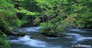 仲人ママの独り言（ブログ）　追加させていただきました