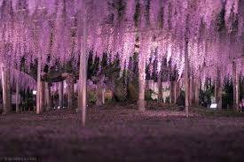 仲人ママの独り言（ブログ）　追加させていただきました