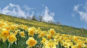 仲人ママの独り言（ブログ）　追加させていただきました