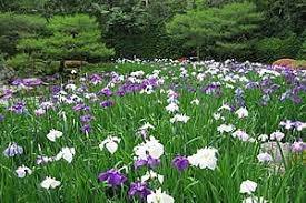 仲人ママの独り言（ブログ）　追加させていただきました