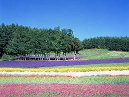 仲人ママの独り言（ブログ）　追加させていただきました