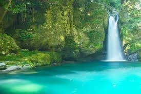 仲人ママのひとりごと