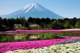 仲人ママのひとりごと（ジューンブライドは死語？）