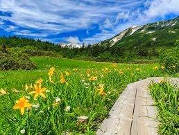 仲人ママのひとりごと（梅雨が明けました）
