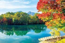 仲人ママのひとりごと（明日から10月です）