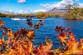 仲人ママのひとりごと(婚活もポジティブに）