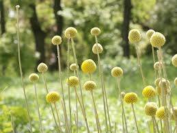 仲人ママのひとりごと（穴場のデートスポット）