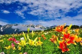 仲人ママのひとりごと（8月になりました。みんなが暑くて辛いときに頑張った婚活は必ず実を結ぶ）