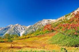 仲人ママのひとりごと（お見合いでの会話は難しく考えないで）