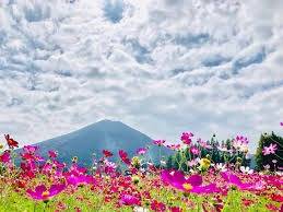 仲人ママのひとりごと（幸せへの第一歩は）