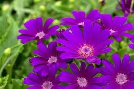 仲人ママのひとりごと（だいぶ冬に近づきました）