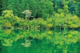 仲人ママのひとりごと（遠回りをした人は近道で行けた人よりも・・）