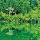 仲人ママのひとりごと（遠回りをした人は近道で行けた人よりも・・）