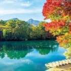 仲人ママのひとりごと（本当の夫婦）
